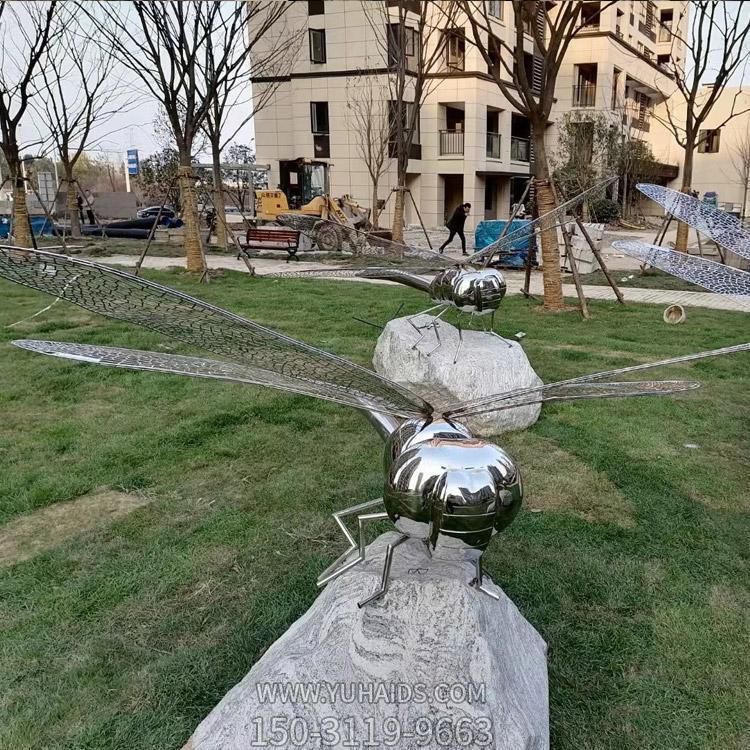 不銹鋼蜻蜓，身體是鏡面效果，翅膀由鐵藝網(wǎng)格構(gòu)成雕塑