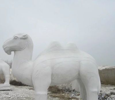 園林?jǐn)[放的漢白玉石雕創(chuàng)意駱駝雕塑