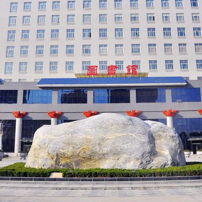 學(xué)校圖書館門前的自然景觀石